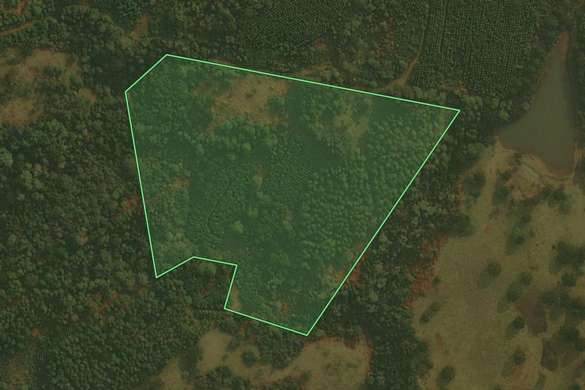 Imagem de satélite do imóvel rural em Ponte Alta (SC), com o contorno declarado no CAR desenhado por cima.