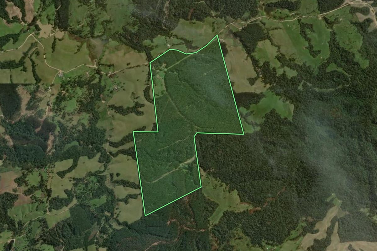 Imagem de satélite do imóvel rural em Ponte Alta (SC), com o contorno declarado no CAR desenhado por cima.