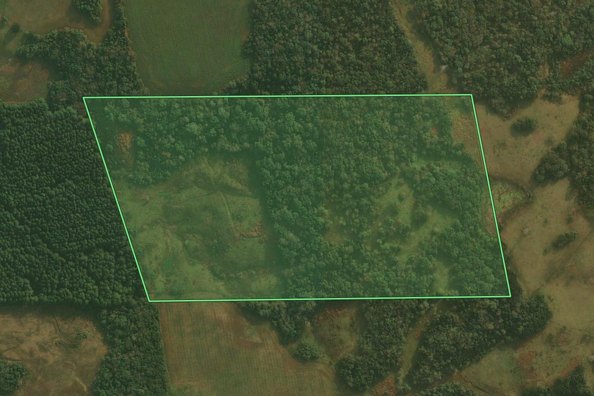 Imagem de satélite do imóvel rural em Ponte Alta (SC), com o contorno declarado no CAR desenhado por cima.