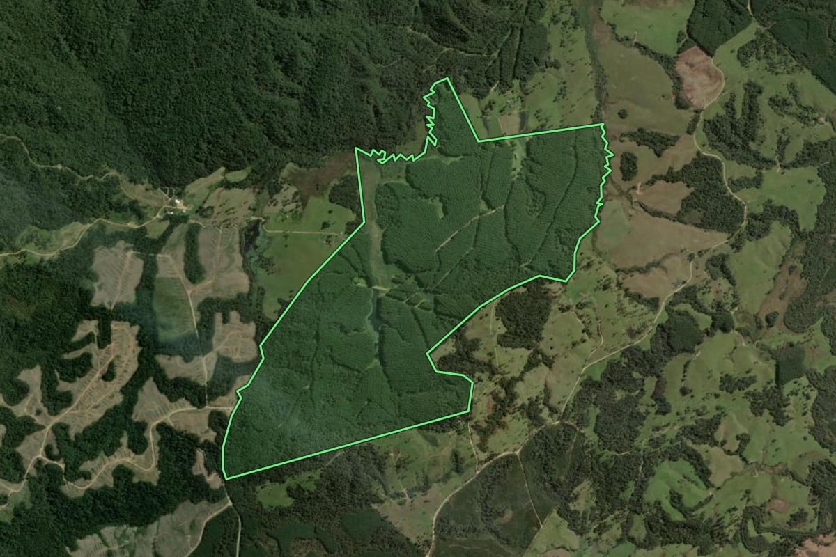 Imagem de satélite do imóvel rural em Ponte Alta (SC), com o contorno declarado no CAR desenhado por cima.