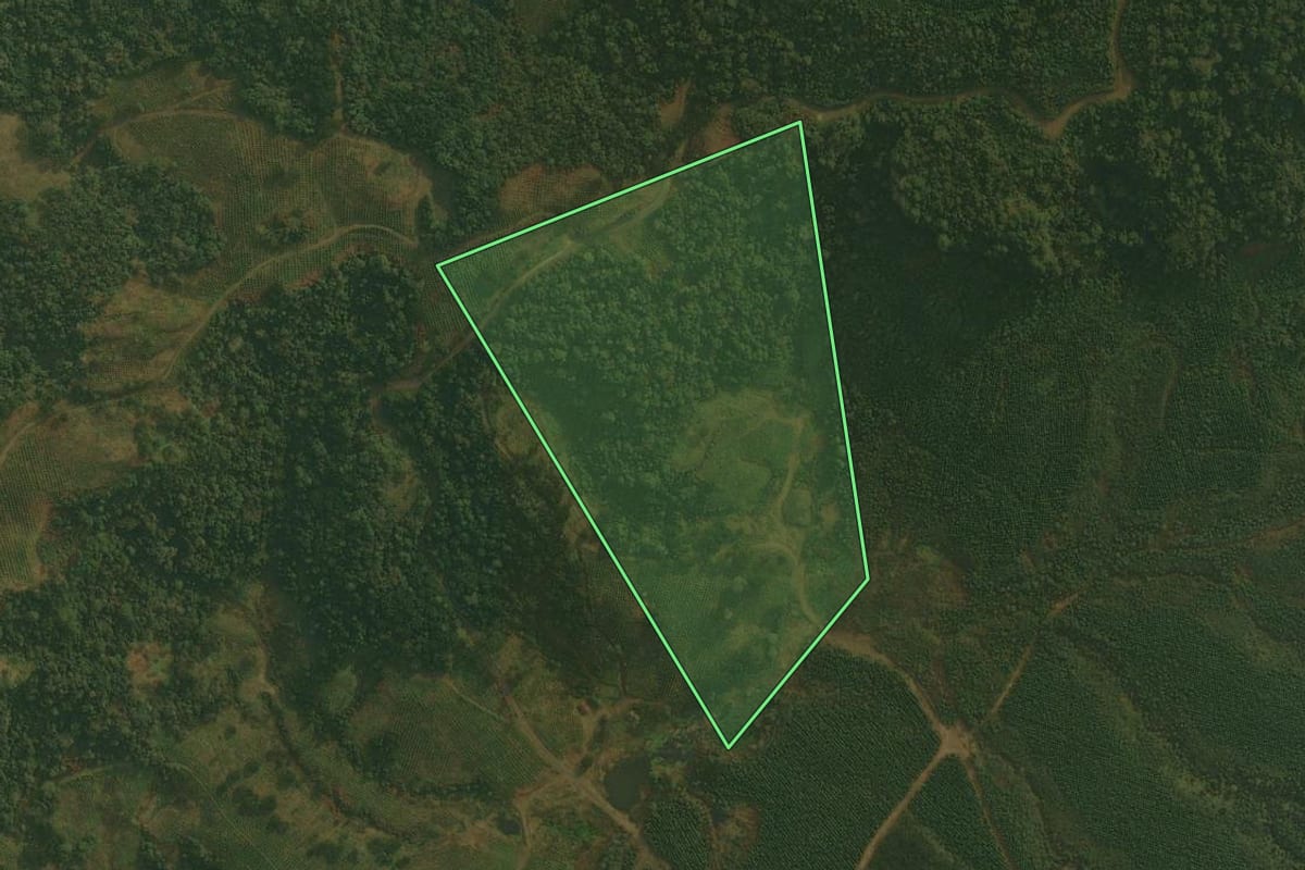 Imagem de satélite do imóvel rural em Ponte Alta (SC), com o contorno declarado no CAR desenhado por cima.