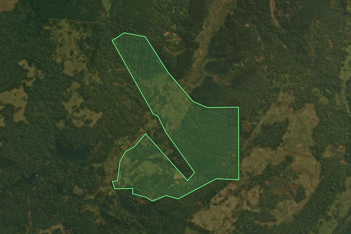 Imagem de satélite do imóvel rural em Ponte Alta (SC), com o contorno declarado no CAR desenhado por cima.