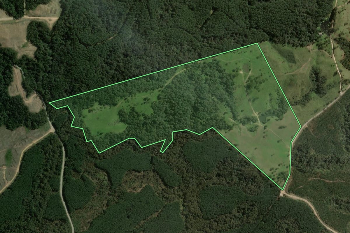 Imagem de satélite do imóvel rural em Ponte Alta (SC), com o contorno declarado no CAR desenhado por cima.