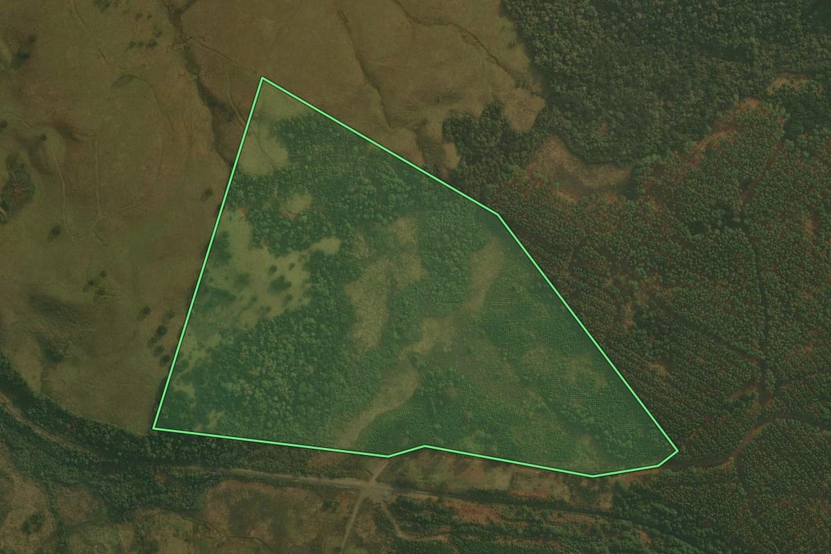 Imagem de satélite do imóvel rural em Ponte Alta (SC), com o contorno declarado no CAR desenhado por cima.