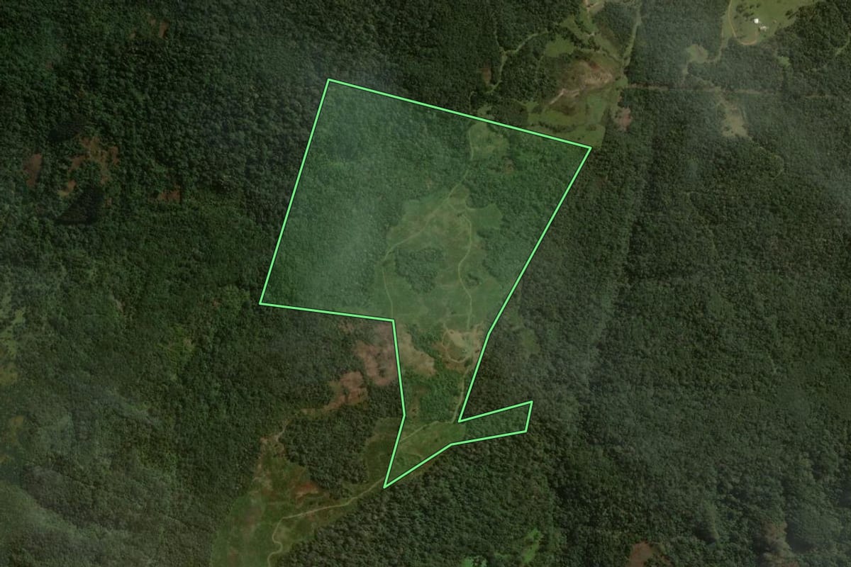 Imagem de satélite do imóvel rural em Ponte Alta (SC), com o contorno declarado no CAR desenhado por cima.