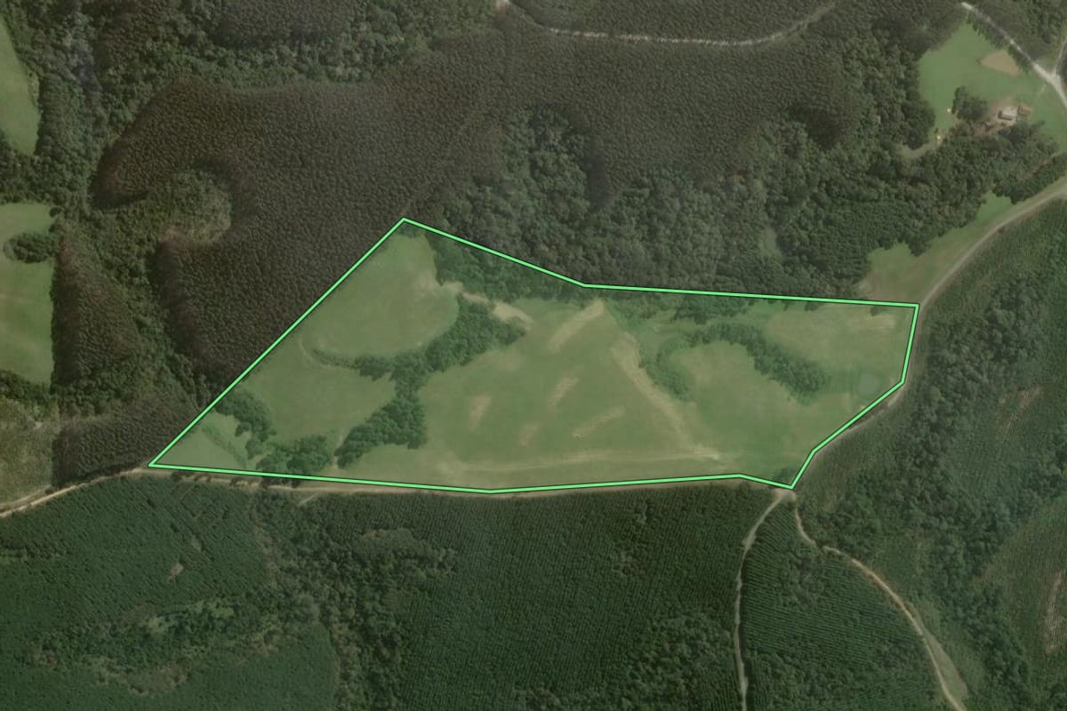 Imagem de satélite do imóvel rural em Ponte Alta (SC), com o contorno declarado no CAR desenhado por cima.