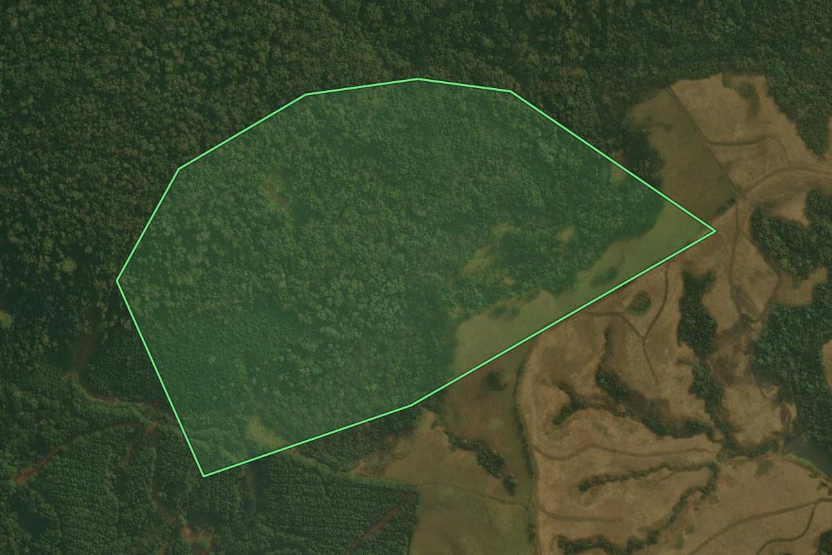 Imagem de satélite do imóvel rural em Ponte Alta (SC), com o contorno declarado no CAR desenhado por cima.