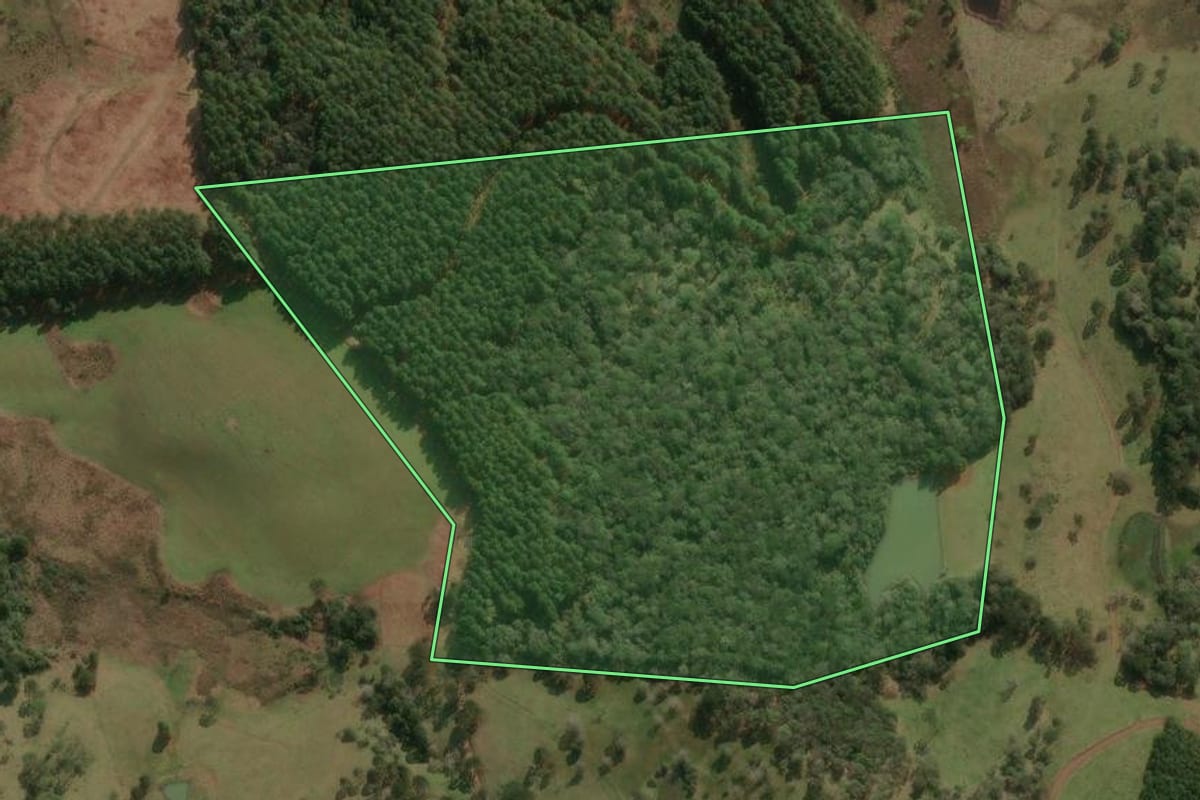 Imagem de satélite do imóvel rural em Ponte Alta do Norte (SC), com o contorno declarado no CAR desenhado por cima.