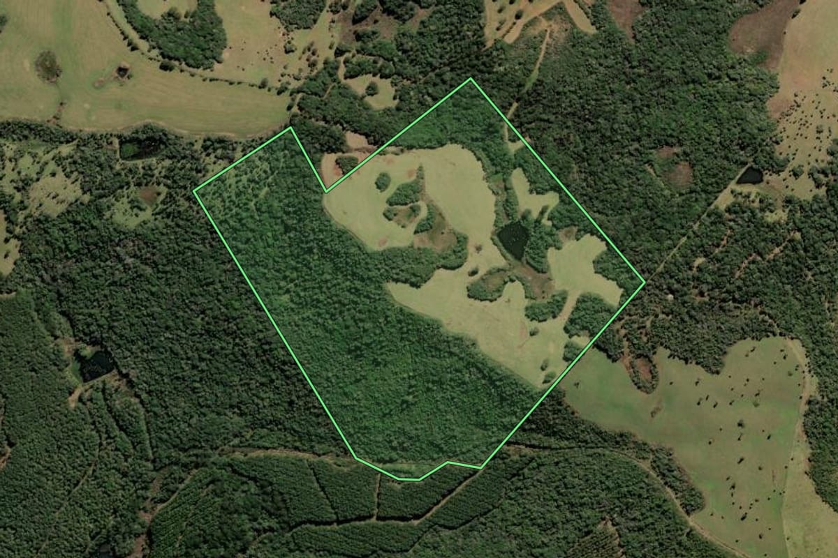 Imagem de satélite do imóvel rural em Ponte Alta do Norte (SC), com o contorno declarado no CAR desenhado por cima.