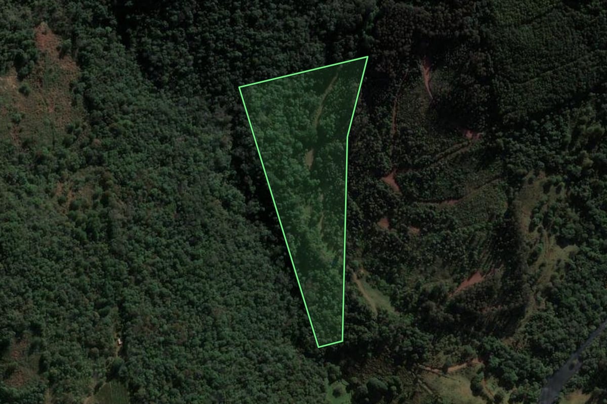 Imagem de satélite do imóvel rural em Ponte Serrada (SC), com o contorno declarado no CAR desenhado por cima.