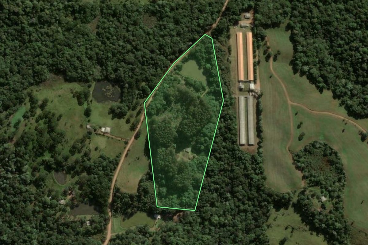 Imagem de satélite do imóvel rural em Ponte Serrada (SC), com o contorno declarado no CAR desenhado por cima.