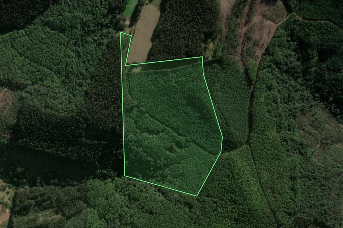 Imagem de satélite do imóvel rural em Ponte Serrada (SC), com o contorno declarado no CAR desenhado por cima.