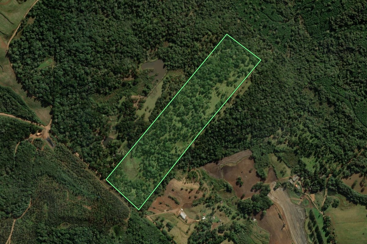 Imagem de satélite do imóvel rural em Ponte Serrada (SC), com o contorno declarado no CAR desenhado por cima.