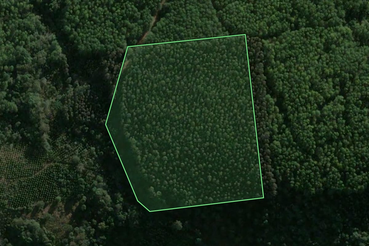 Imagem de satélite do imóvel rural em Ponte Serrada (SC), com o contorno declarado no CAR desenhado por cima.