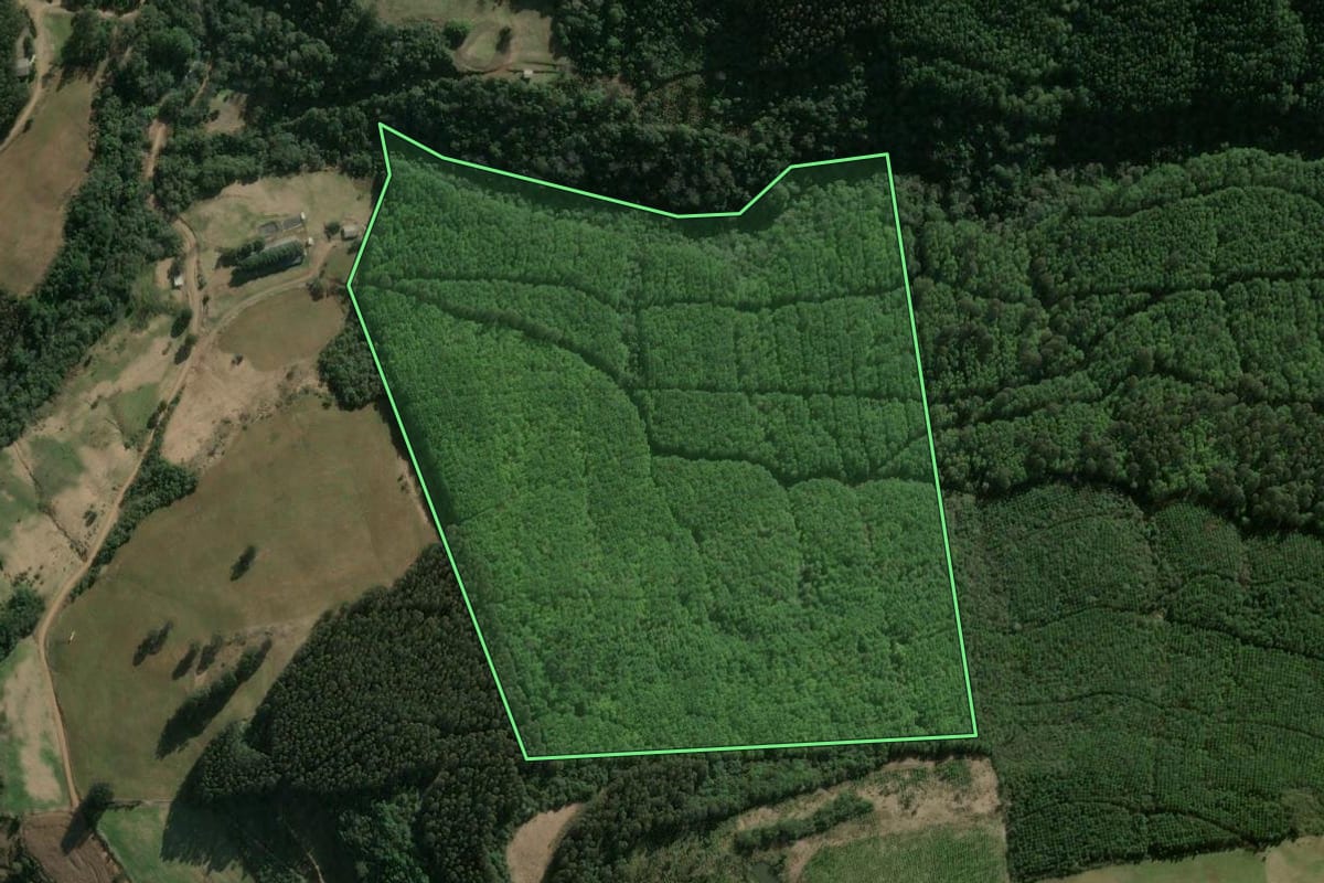 Imagem de satélite do imóvel rural em Ponte Serrada (SC), com o contorno declarado no CAR desenhado por cima.