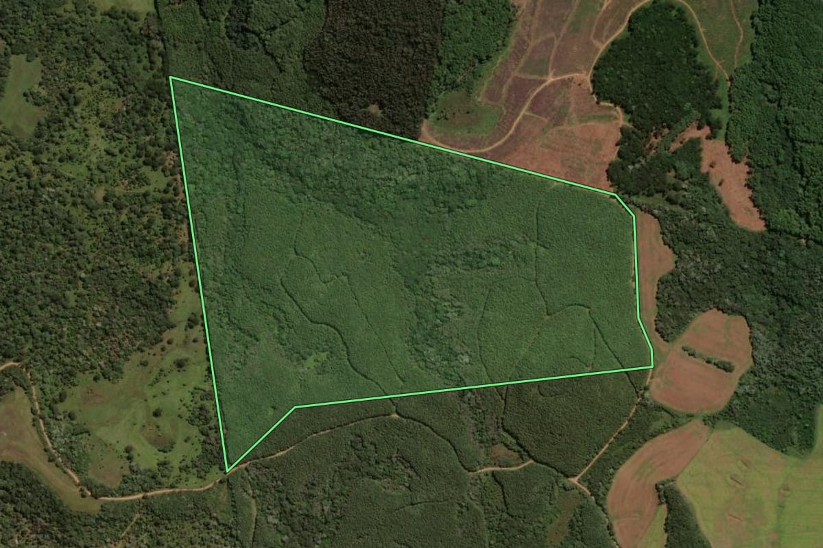 Imagem de satélite do imóvel rural em Ponte Serrada (SC), com o contorno declarado no CAR desenhado por cima.