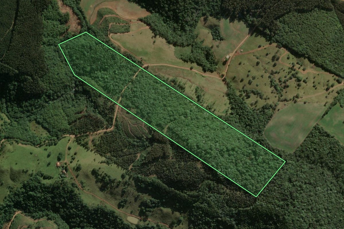 Imagem de satélite do imóvel rural em Ponte Serrada (SC), com o contorno declarado no CAR desenhado por cima.