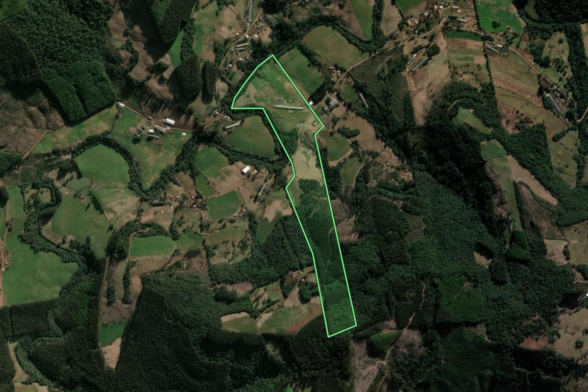Imagem de satélite do imóvel rural em Ponte Serrada (SC), com o contorno declarado no CAR desenhado por cima.
