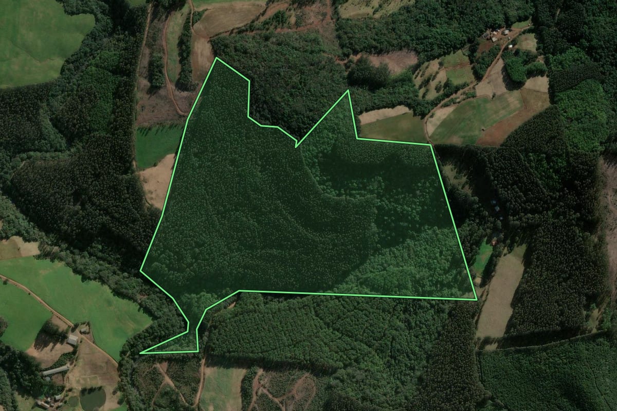 Imagem de satélite do imóvel rural em Ponte Serrada (SC), com o contorno declarado no CAR desenhado por cima.
