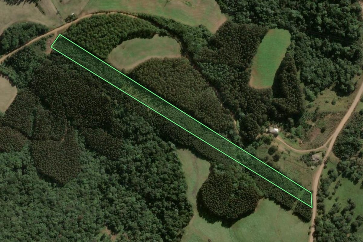 Imagem de satélite do imóvel rural em Ponte Serrada (SC), com o contorno declarado no CAR desenhado por cima.