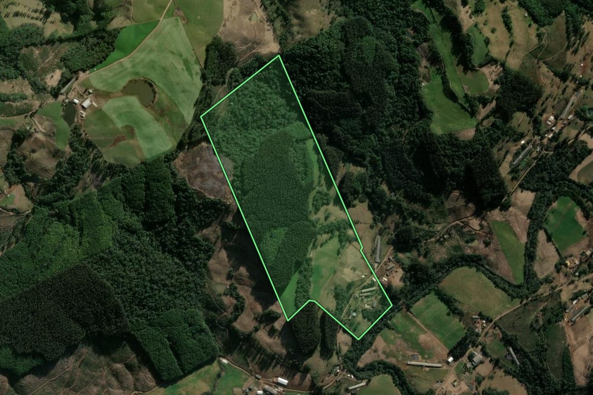 Imagem de satélite do imóvel rural em Ponte Serrada (SC), com o contorno declarado no CAR desenhado por cima.