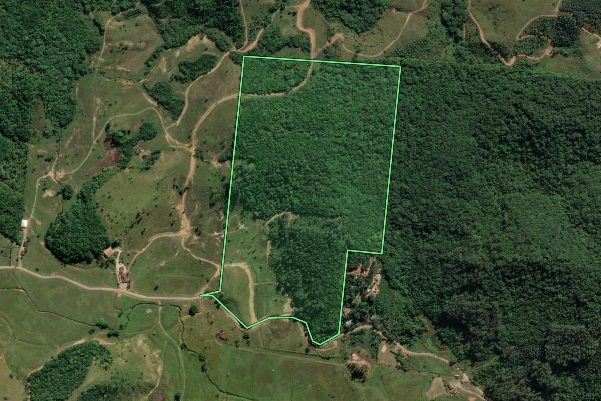 Imagem de satélite do imóvel rural em Porto Belo (SC), com o contorno declarado no CAR desenhado por cima.