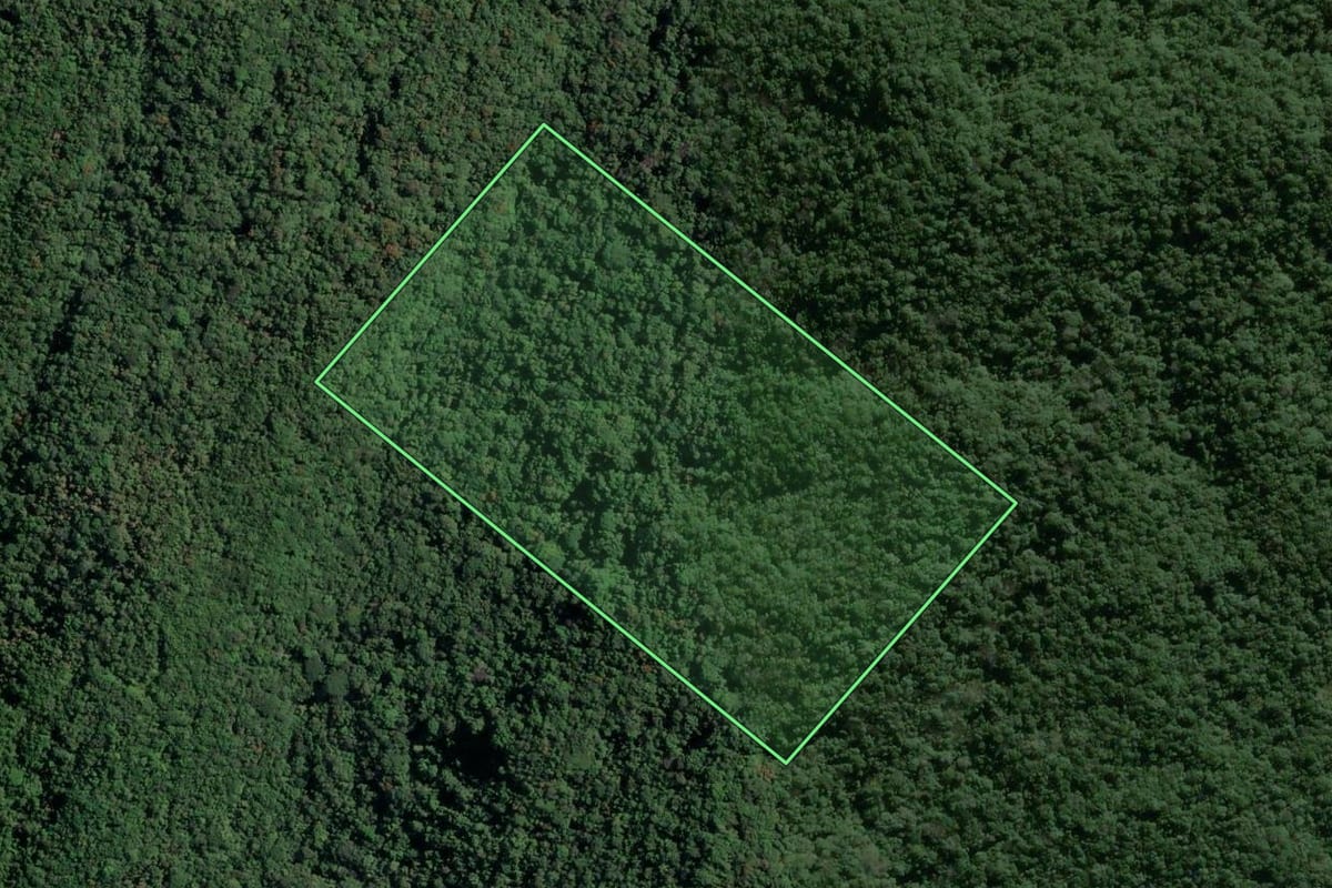 Imagem de satélite do imóvel rural em Porto Belo (SC), com o contorno declarado no CAR desenhado por cima.