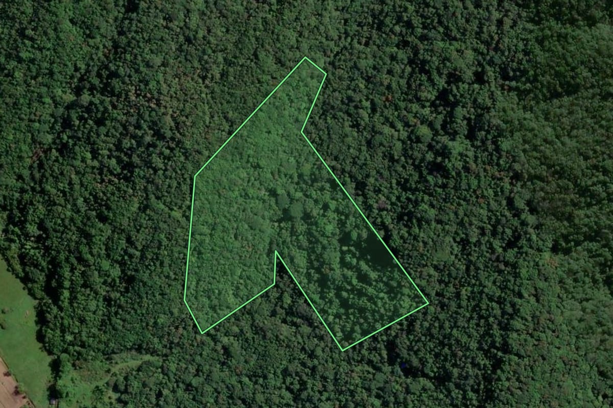 Imagem de satélite do imóvel rural em Porto Belo (SC), com o contorno declarado no CAR desenhado por cima.