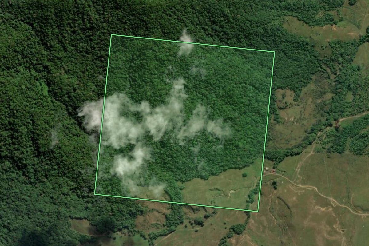Imagem de satélite do imóvel rural em Porto Belo (SC), com o contorno declarado no CAR desenhado por cima.