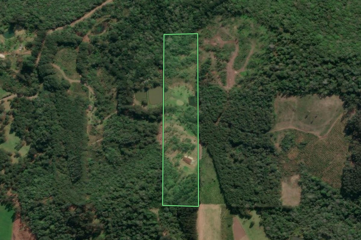 Imagem de satélite do imóvel rural em Porto União (SC), com o contorno declarado no CAR desenhado por cima.