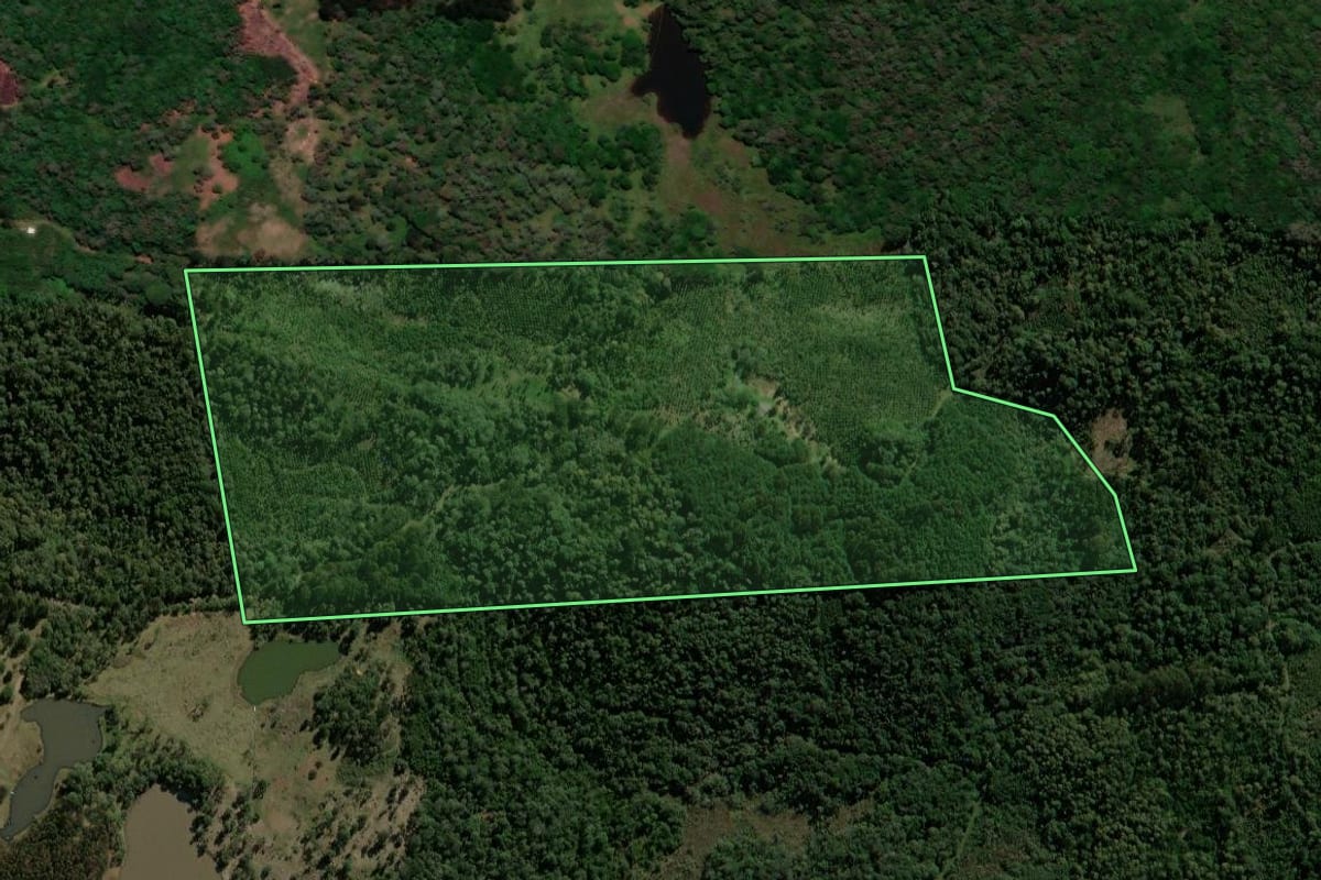 Imagem de satélite do imóvel rural em Porto União (SC), com o contorno declarado no CAR desenhado por cima.