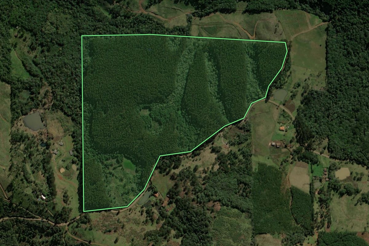 Imagem de satélite do imóvel rural em Porto União (SC), com o contorno declarado no CAR desenhado por cima.