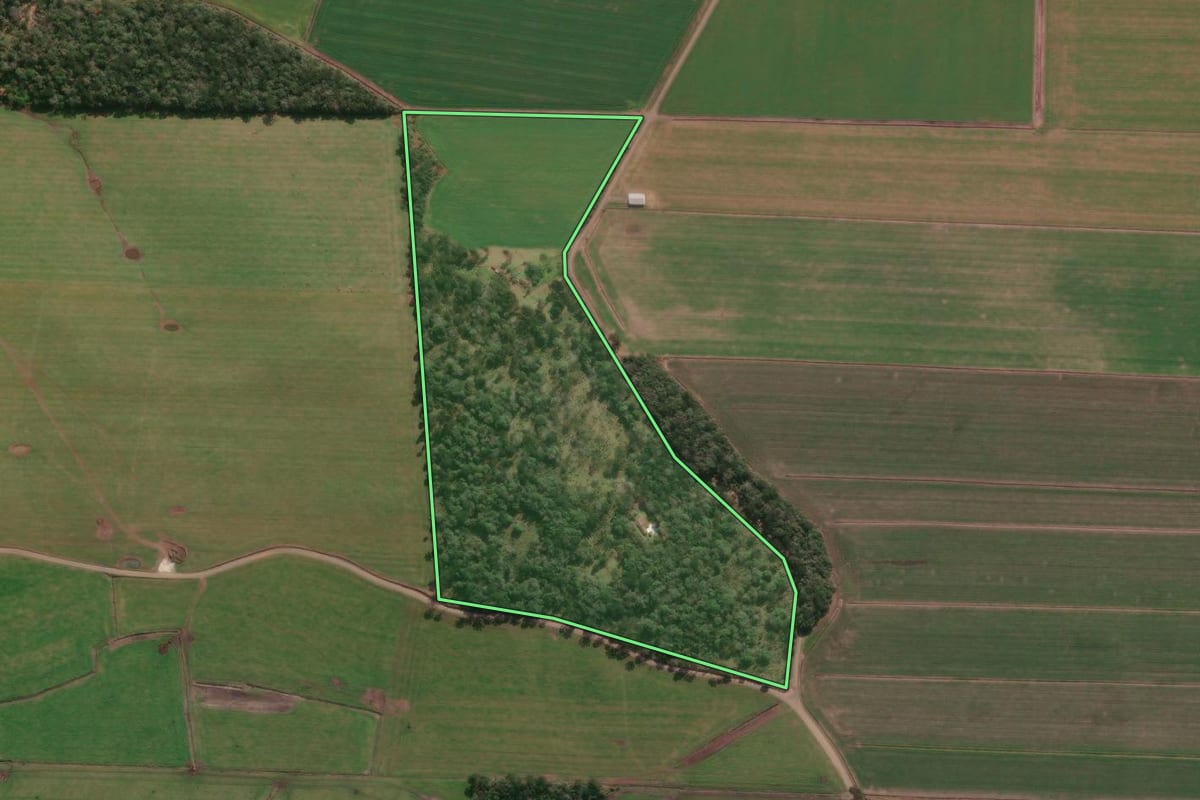 Imagem de satélite do imóvel rural em Porto União (SC), com o contorno declarado no CAR desenhado por cima.