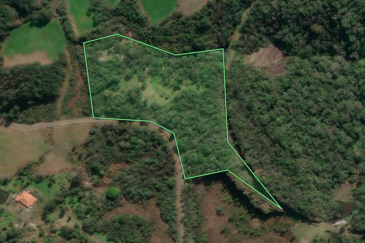 Imagem de satélite do imóvel rural em Porto União (SC), com o contorno declarado no CAR desenhado por cima.