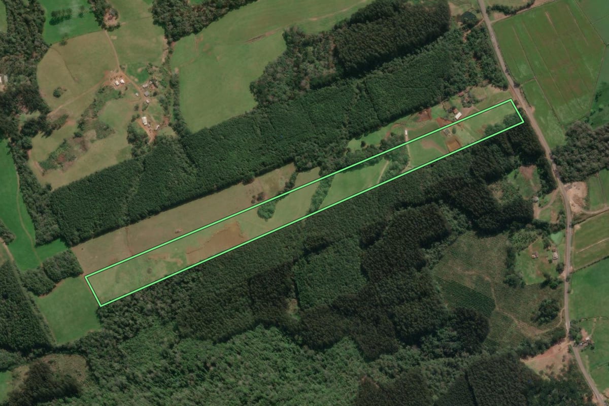 Imagem de satélite do imóvel rural em Porto União (SC), com o contorno declarado no CAR desenhado por cima.