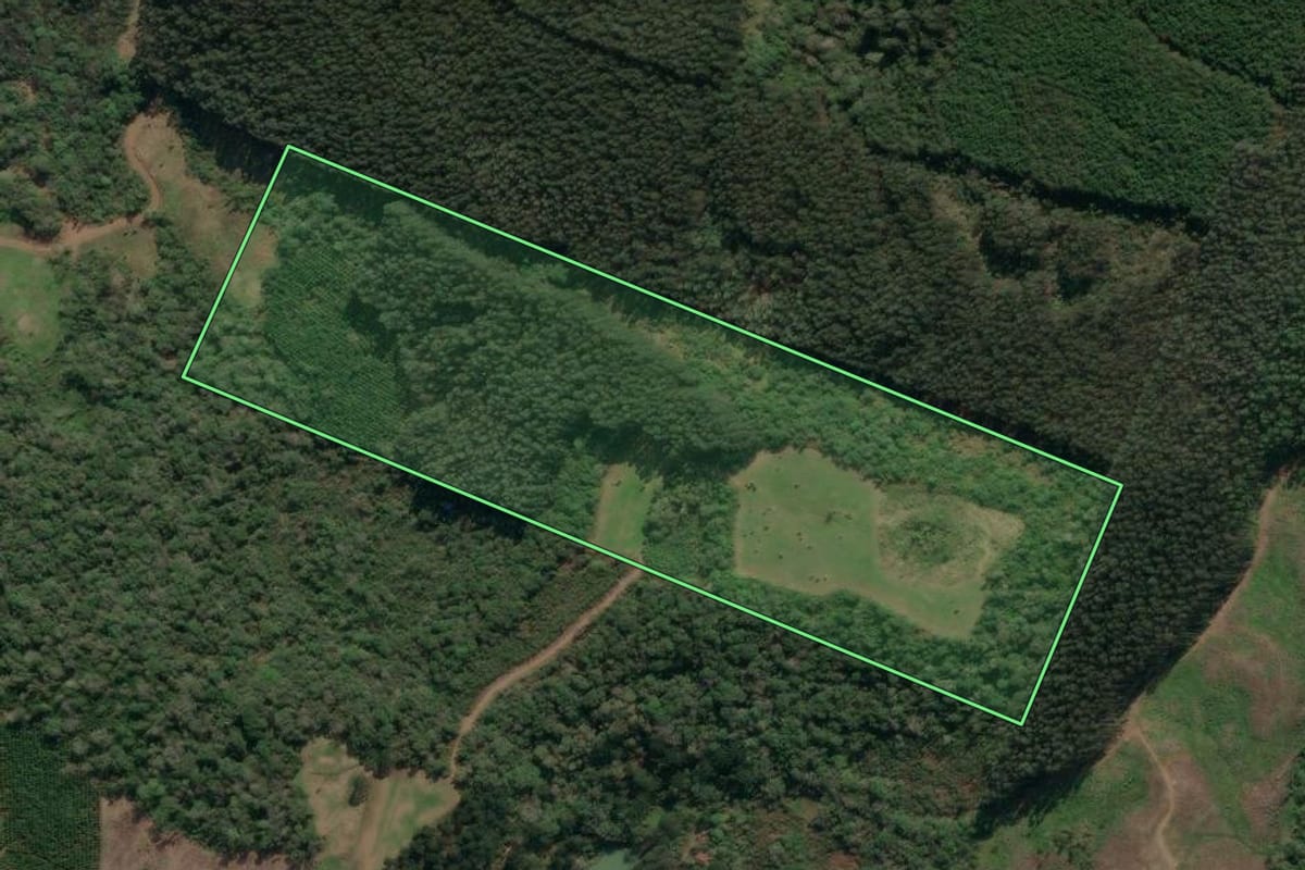 Imagem de satélite do imóvel rural em Porto União (SC), com o contorno declarado no CAR desenhado por cima.