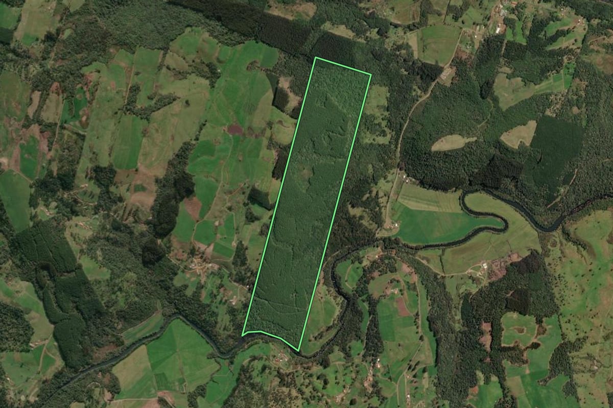 Imagem de satélite do imóvel rural em Porto União (SC), com o contorno declarado no CAR desenhado por cima.