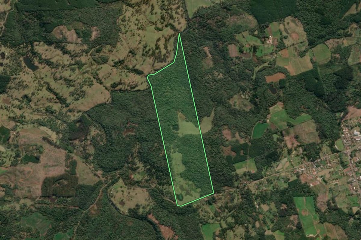 Imagem de satélite do imóvel rural em Porto União (SC), com o contorno declarado no CAR desenhado por cima.