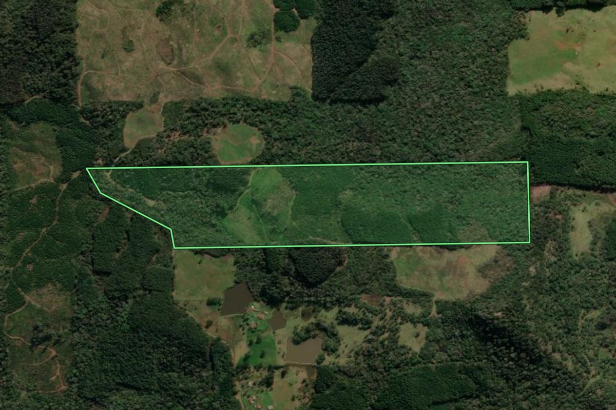 Imagem de satélite do imóvel rural em Porto União (SC), com o contorno declarado no CAR desenhado por cima.
