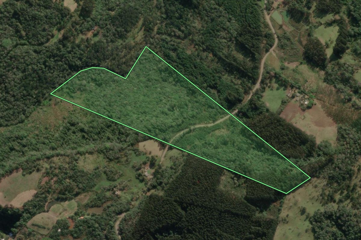 Imagem de satélite do imóvel rural em Porto União (SC), com o contorno declarado no CAR desenhado por cima.
