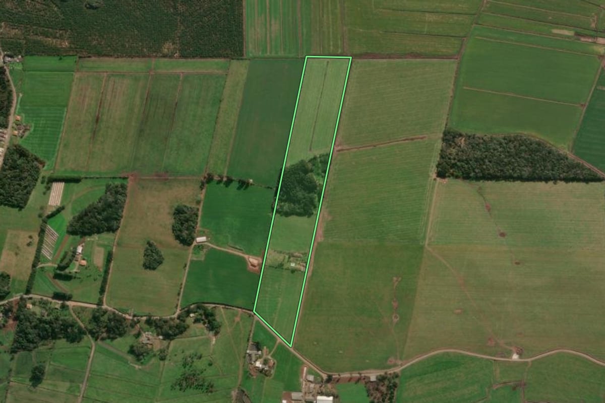 Imagem de satélite do imóvel rural em Porto União (SC), com o contorno declarado no CAR desenhado por cima.
