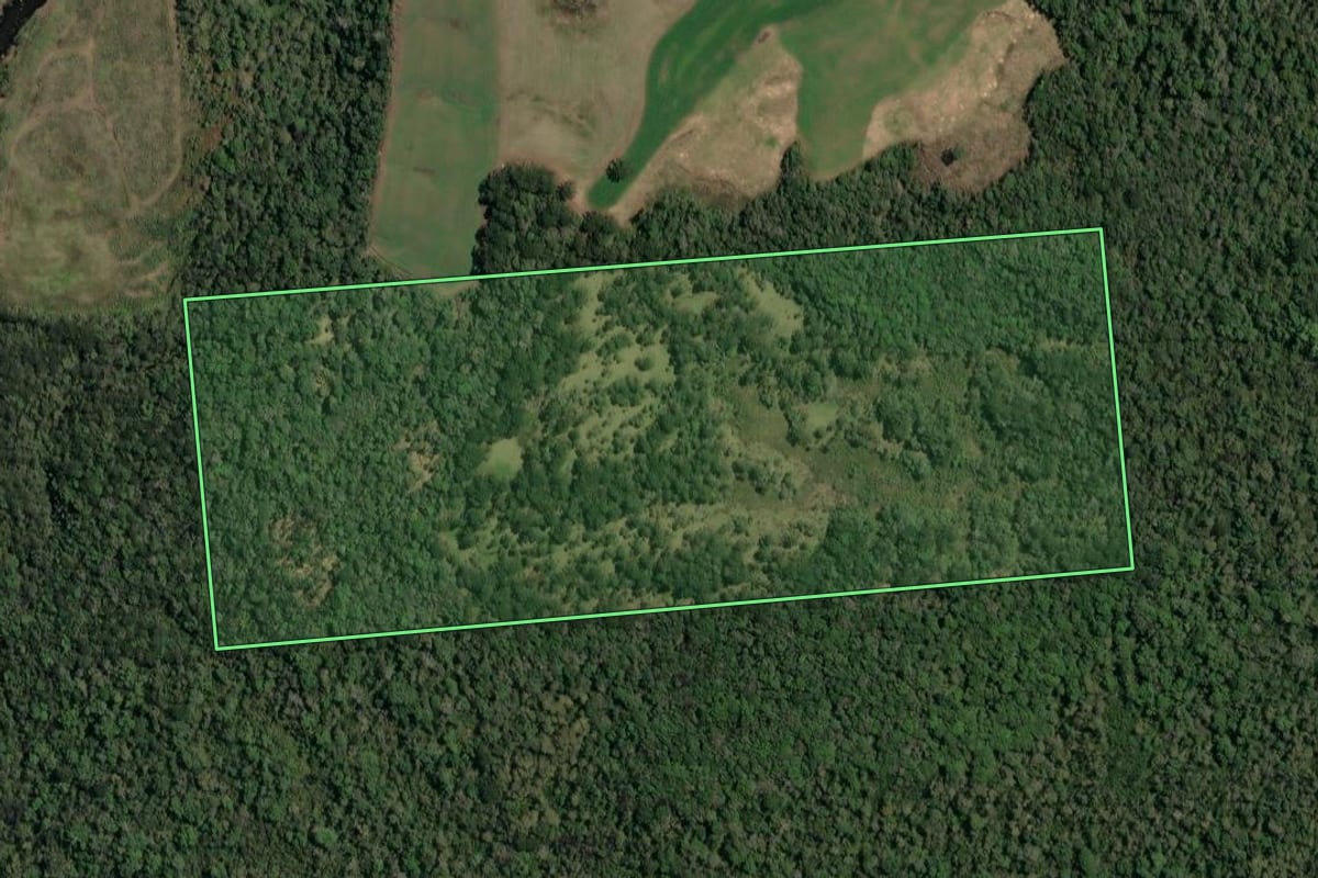 Imagem de satélite do imóvel rural em Porto União (SC), com o contorno declarado no CAR desenhado por cima.