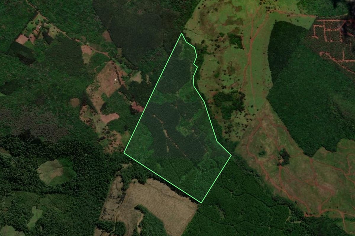Imagem de satélite do imóvel rural em Porto União (SC), com o contorno declarado no CAR desenhado por cima.