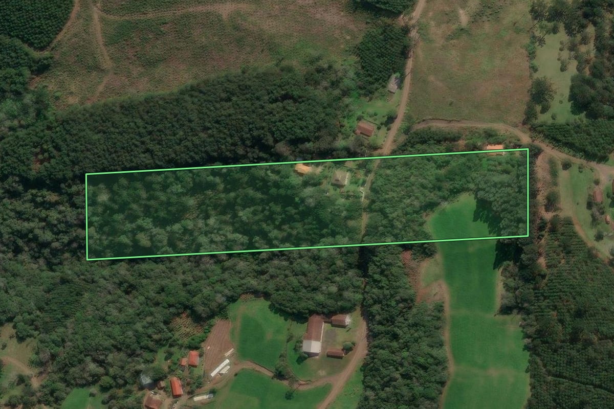 Imagem de satélite do imóvel rural em Porto União (SC), com o contorno declarado no CAR desenhado por cima.