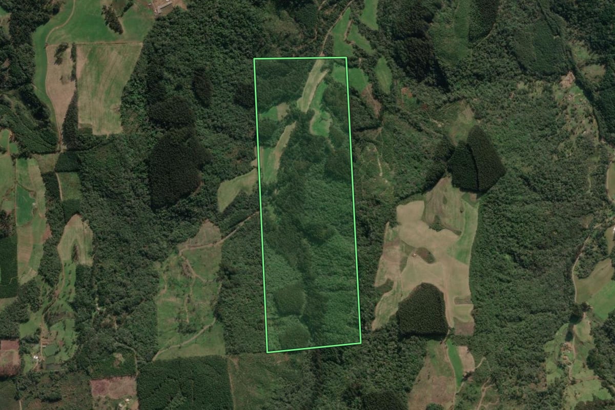 Imagem de satélite do imóvel rural em Porto União (SC), com o contorno declarado no CAR desenhado por cima.