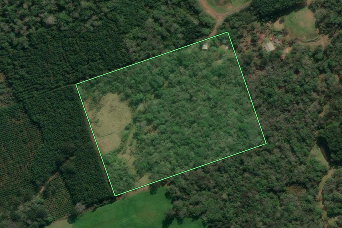 Imagem de satélite do imóvel rural em Porto União (SC), com o contorno declarado no CAR desenhado por cima.