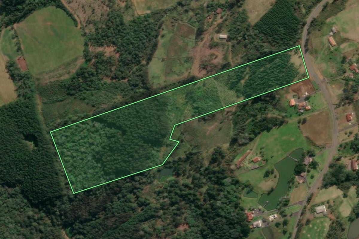 Imagem de satélite do imóvel rural em Porto União (SC), com o contorno declarado no CAR desenhado por cima.