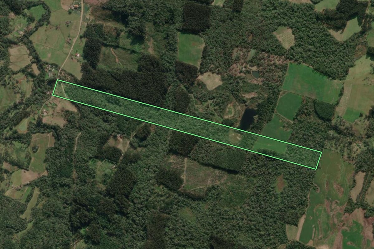 Imagem de satélite do imóvel rural em Porto União (SC), com o contorno declarado no CAR desenhado por cima.