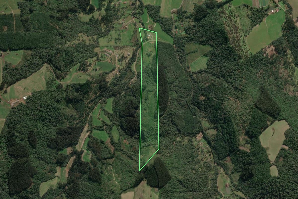 Imagem de satélite do imóvel rural em Porto União (SC), com o contorno declarado no CAR desenhado por cima.