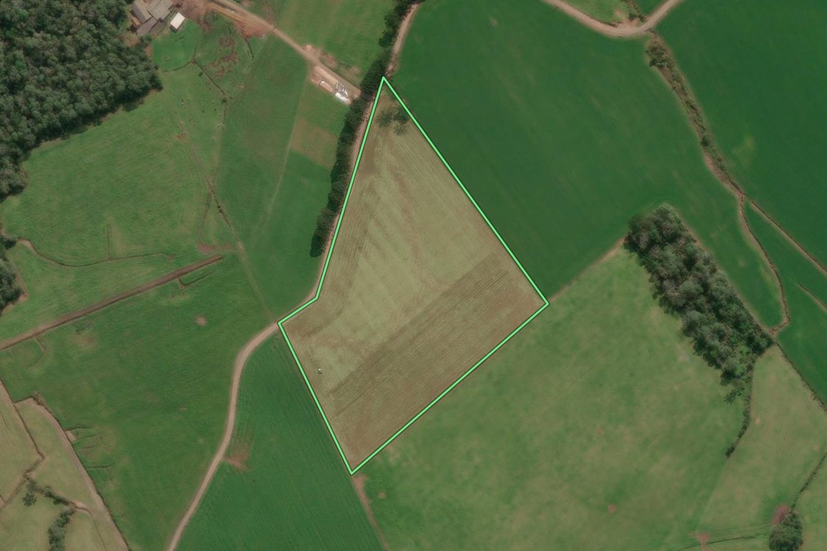 Imagem de satélite do imóvel rural em Porto União (SC), com o contorno declarado no CAR desenhado por cima.